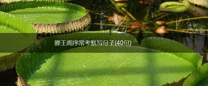 滕王阁序常考默写句子(40句),第1张