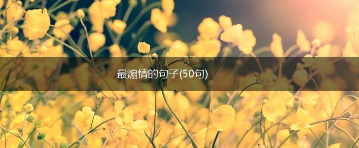 最煽情的句子(50句),第1张