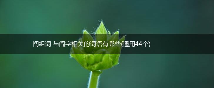 闯组词 与闯字相关的词语有哪些(通用44个),第1张