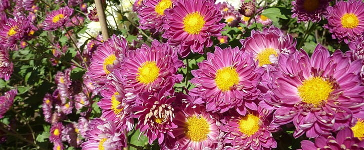 形容幸福感满满的句子(推荐110句),第2张 形容幸福感满满的句子(推荐110句),第2张