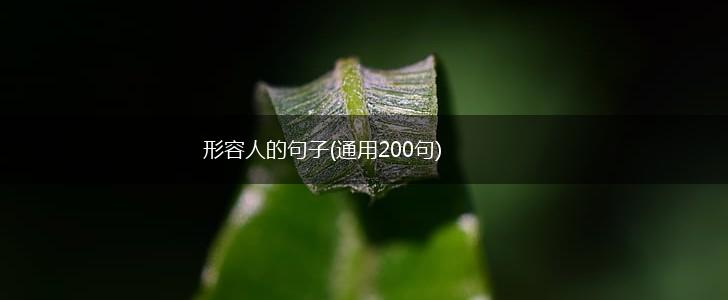 形容人的句子(通用200句),第1张