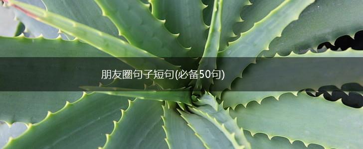 朋友圈句子短句(必备50句),第1张