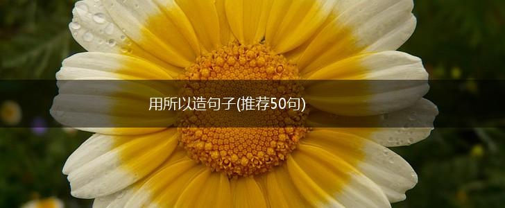 用所以造句子(推荐50句),第1张
