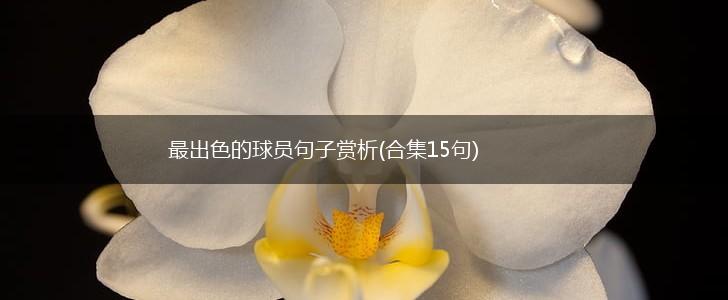 最出色的球员句子赏析(合集15句),第1张