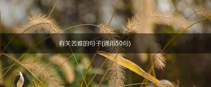 有关苦难的句子(通用50句),第1张