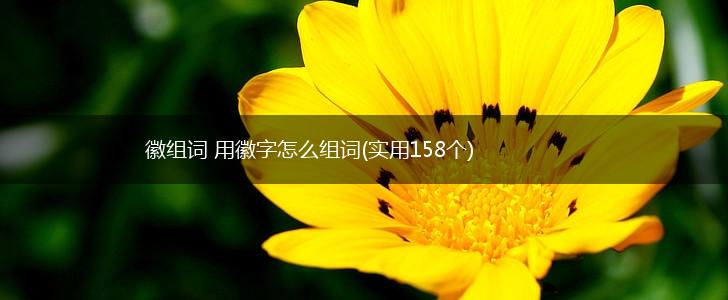 徽组词 用徽字怎么组词(实用158个),第1张