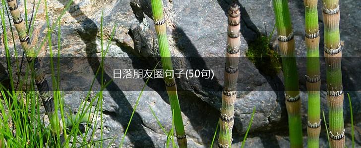 日落朋友圈句子(50句),第1张