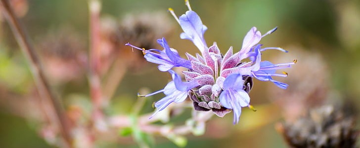 孤单情人节(共42句),第3张