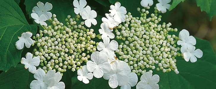 奋斗励志的句子(合集190句),第2张