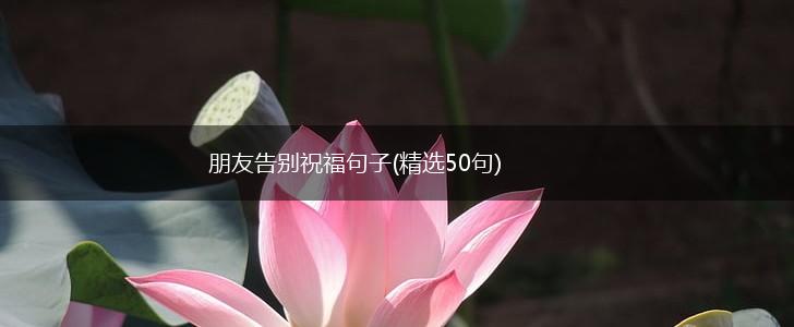 朋友告别祝福句子(精选50句),第1张