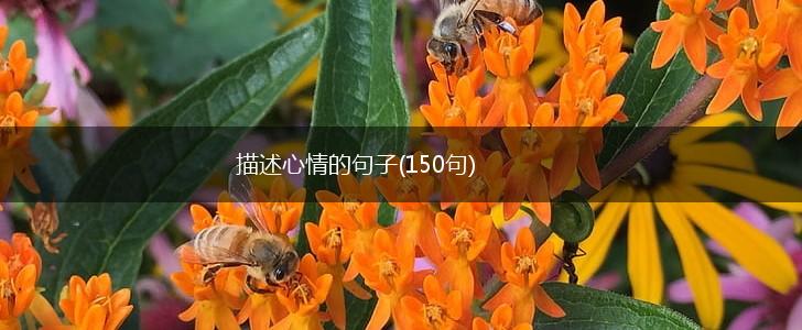 描述心情的句子(150句),第1张