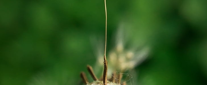 找对象文案(100句),第2张 找对象文案(100句),第2张