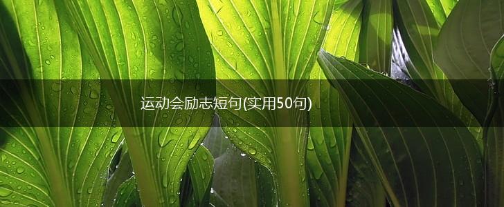 运动会励志短句(实用50句),第1张