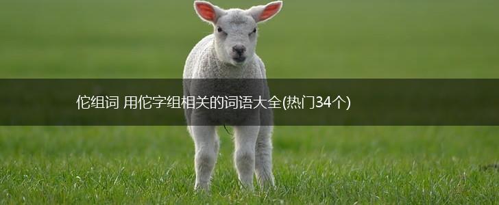 佗组词 用佗字组相关的词语大全(热门34个),第1张