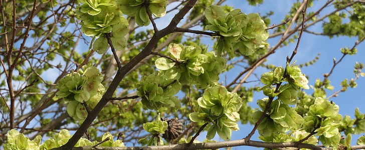 忧伤的句子(合集171句),第3张
