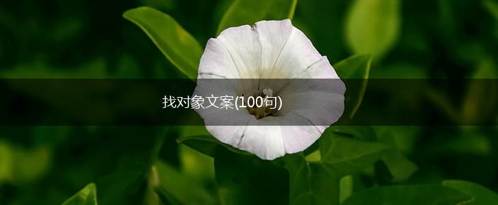 找对象文案(100句),第1张 找对象文案(100句),第1张