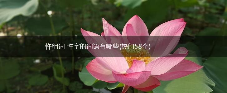 忤组词 忤字的词语有哪些(热门58个),第1张