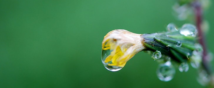 感谢领导的话语朴实点(合集130句),第2张