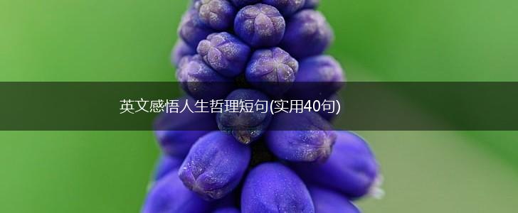 英文感悟人生哲理短句(实用40句),第1张