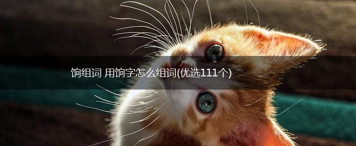 饷组词 用饷字怎么组词(优选111个),第1张
