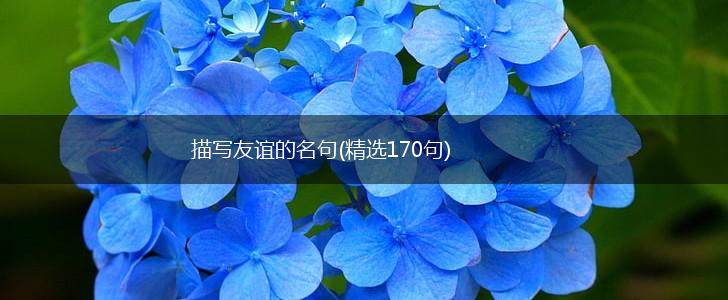 描写友谊的名句(精选170句),第1张