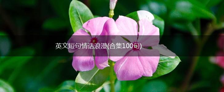 英文短句情话浪漫(合集100句),第1张
