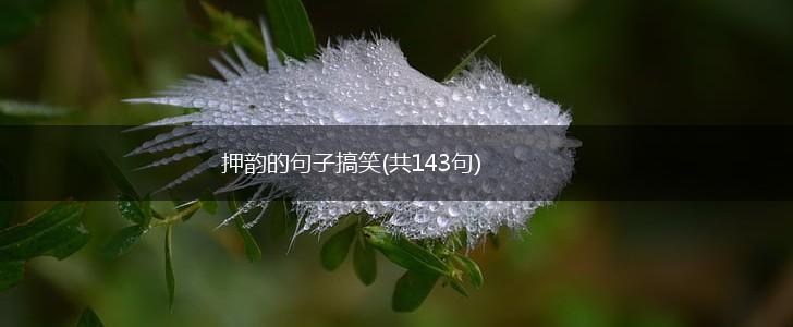 押韵的句子搞笑(共143句),第1张