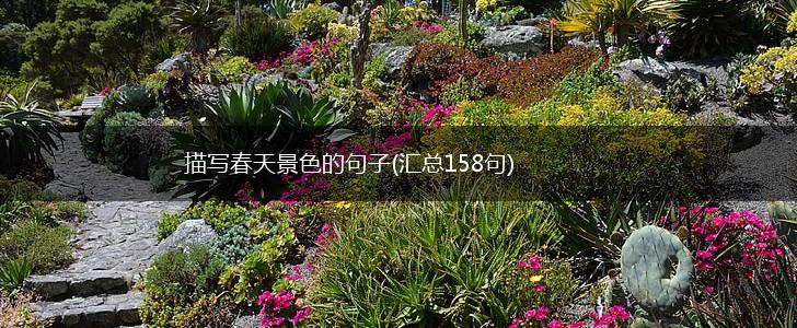 描写春天景色的句子(汇总158句),第1张