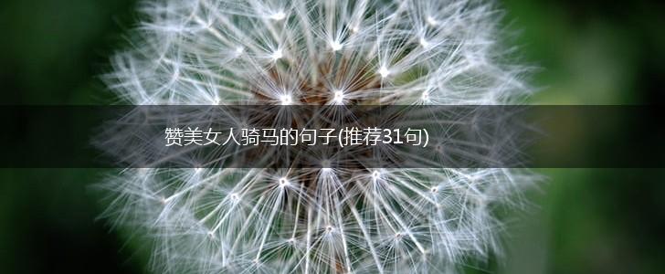 赞美女人骑马的句子(推荐31句),第1张