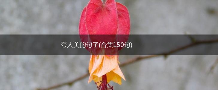 夸人美的句子(合集150句),第1张