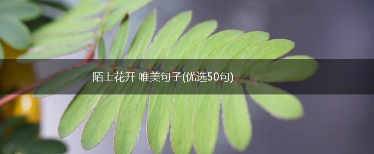 陌上花开 唯美句子(优选50句),第1张