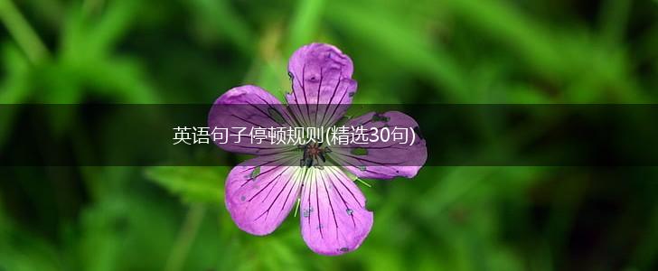 英语句子停顿规则(精选30句),第1张