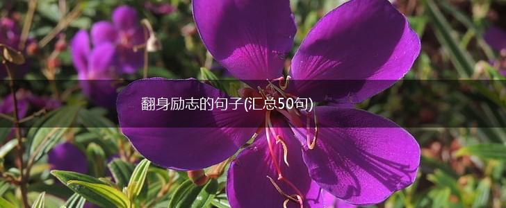 翻身励志的句子(汇总50句),第1张