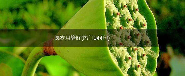 愿岁月静好(热门144句),第1张