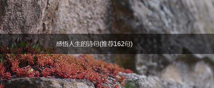 感悟人生的诗句(推荐162句),第1张
