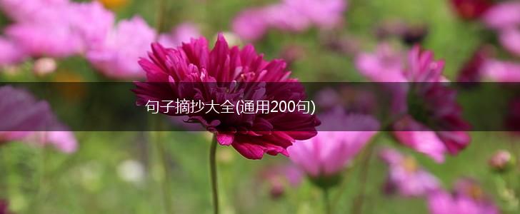 句子摘抄大全(通用200句),第1张