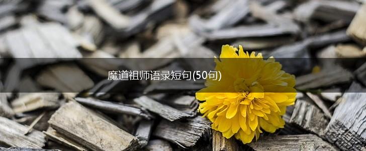 魔道祖师语录短句(50句),第1张