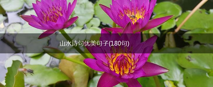 山水诗句优美句子(180句),第1张
