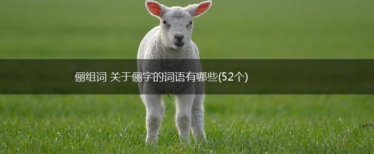 俪组词 关于俪字的词语有哪些(52个),第1张
