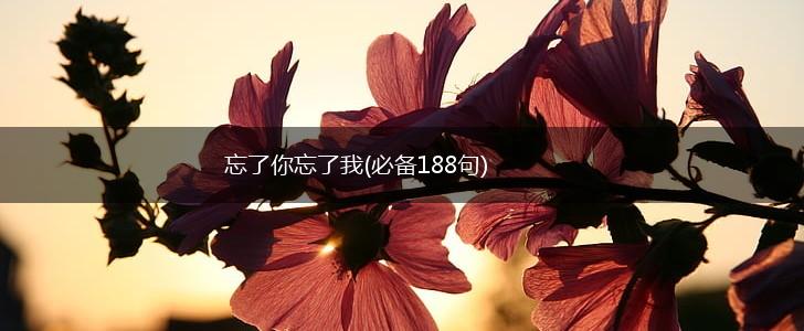 忘了你忘了我(必备188句),第1张