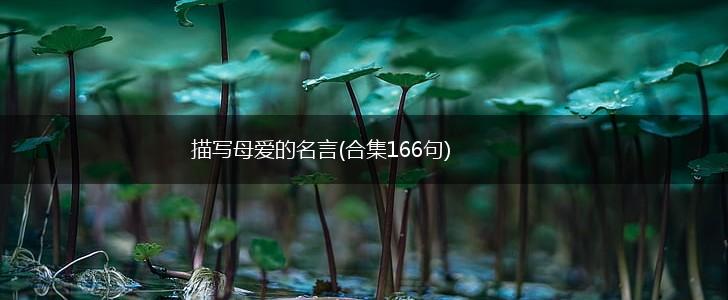 描写母爱的名言(合集166句),第1张