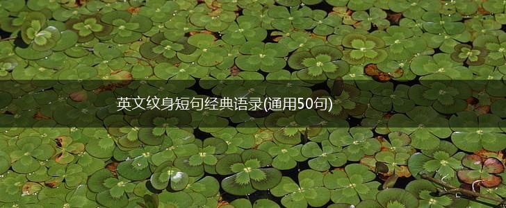 英文纹身短句经典语录(通用50句),第1张
