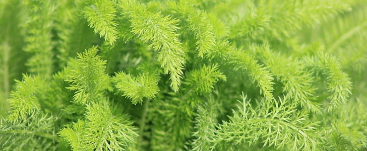 描写月亮的优美句子(合集170句),第3张