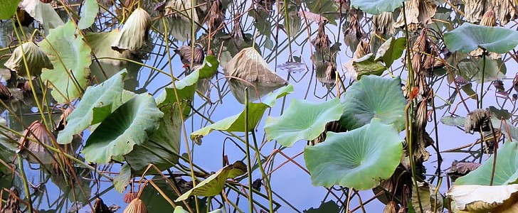 摘抄加赏析(汇总246句),第3张