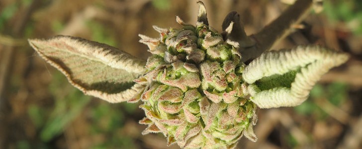 有多爱就有多痛(推荐130句),第2张