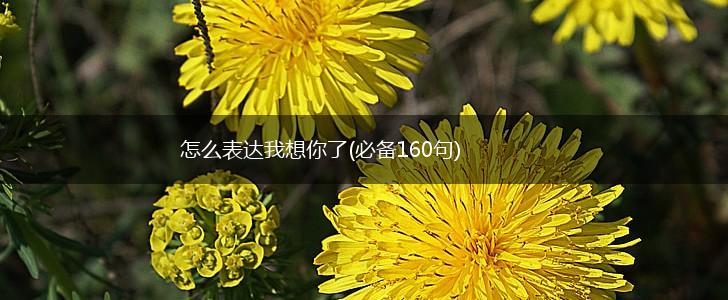 怎么表达我想你了(必备160句),第1张