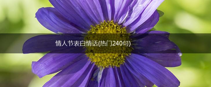 情人节表白情话(热门240句),第1张