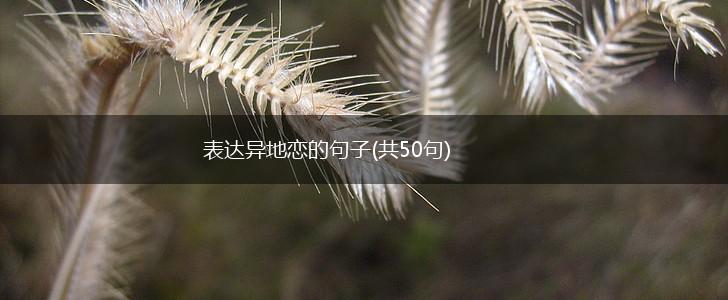 表达异地恋的句子(共50句),第1张