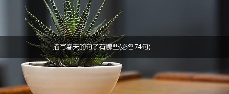 描写春天的句子有哪些(必备74句),第1张