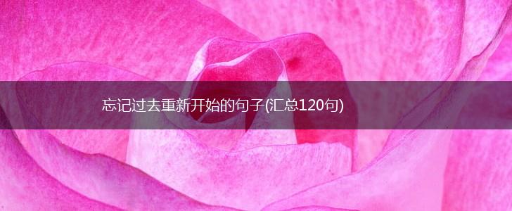 忘记过去重新开始的句子(汇总120句),第1张